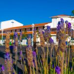 Horarios de misa de La Parroquia San Juan Macías  en Zapopan