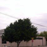 Horarios de misa de La Parroquia Santa Cruz en San Nicolás de los Garza